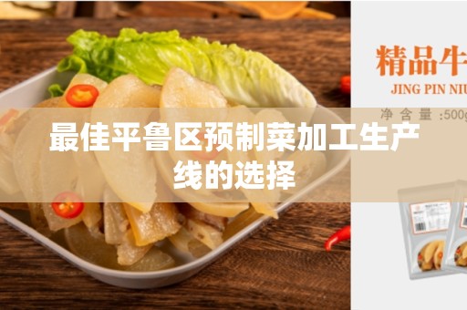 最佳平鲁区预制菜加工生产线的选择