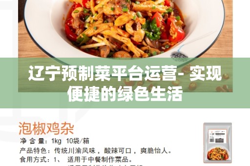 辽宁预制菜平台运营- 实现便捷的绿色生活