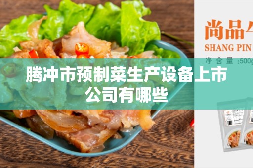 腾冲市预制菜生产设备上市公司有哪些