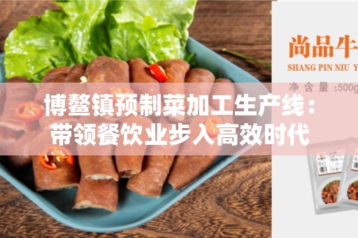 博鳌镇预制菜加工生产线：带领餐饮业步入高效时代
