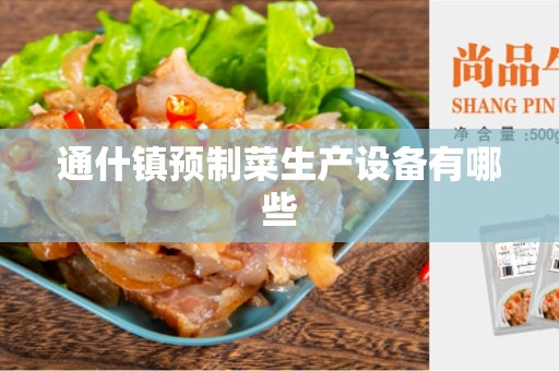 通什镇预制菜生产设备有哪些