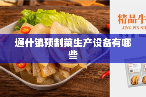 通什镇预制菜生产设备有哪些