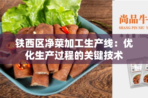 铁西区净菜加工生产线：优化生产过程的关键技术