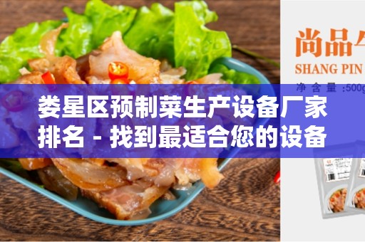 娄星区预制菜生产设备厂家排名 - 找到最适合您的设备供应商