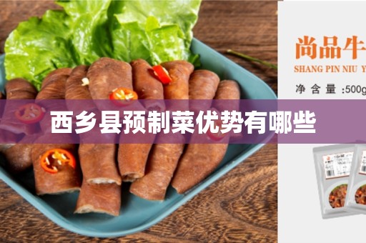 西乡县预制菜优势有哪些