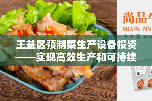 王益区预制菜生产设备投资——实现高效生产和可持续发展的关键