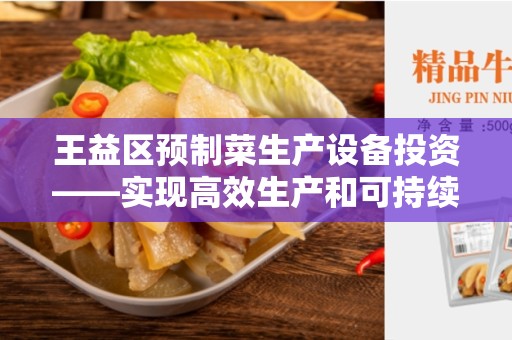 王益区预制菜生产设备投资——实现高效生产和可持续发展的关键