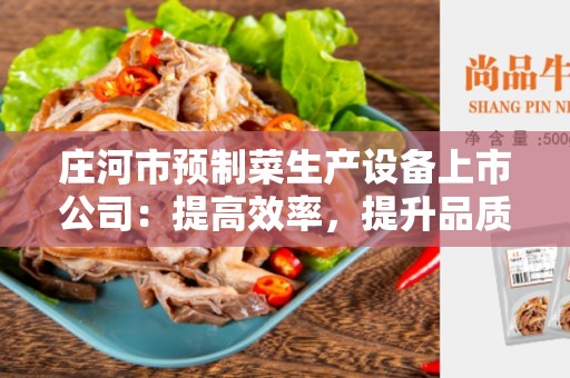 庄河市预制菜生产设备上市公司：提高效率，提升品质