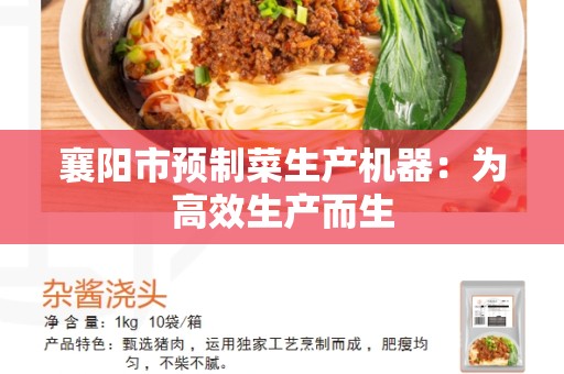 襄阳市预制菜生产机器：为高效生产而生