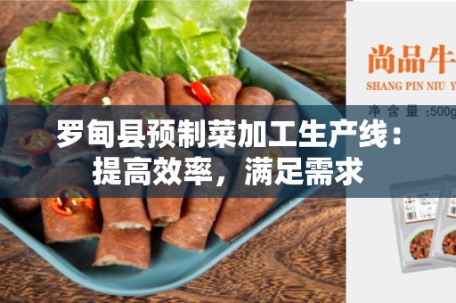 罗甸县预制菜加工生产线：提高效率，满足需求