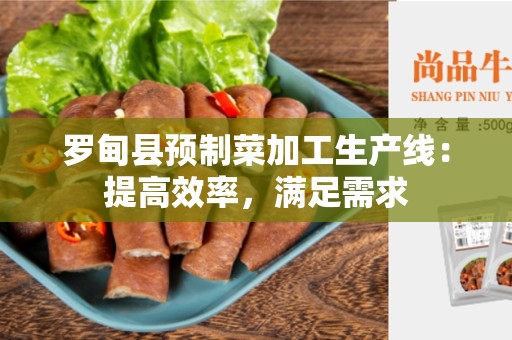 罗甸县预制菜加工生产线：提高效率，满足需求
