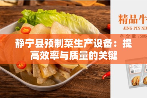 静宁县预制菜生产设备：提高效率与质量的关键
