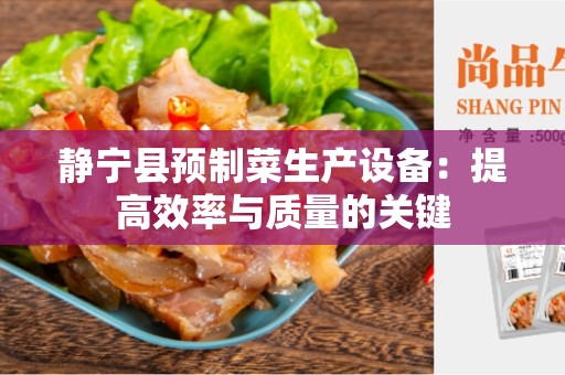静宁县预制菜生产设备：提高效率与质量的关键