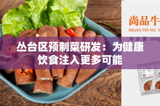 丛台区预制菜研发：为健康饮食注入更多可能