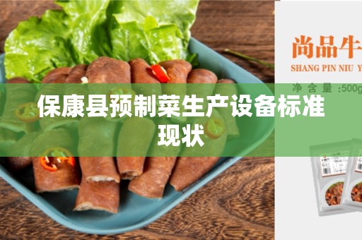 保康县预制菜生产设备标准现状