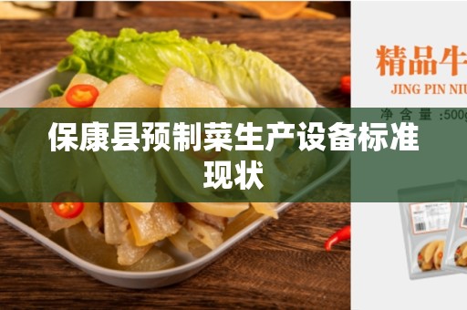 保康县预制菜生产设备标准现状