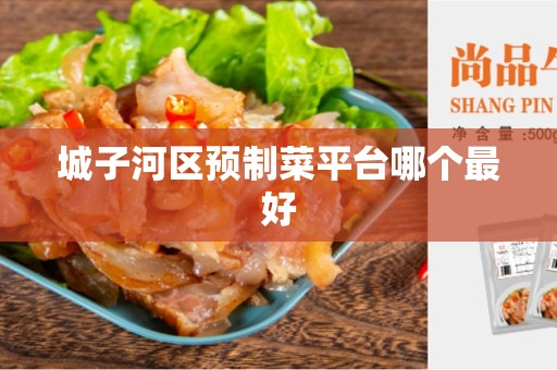 城子河区预制菜平台哪个最好