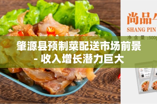 肇源县预制菜配送市场前景- 收入增长潜力巨大