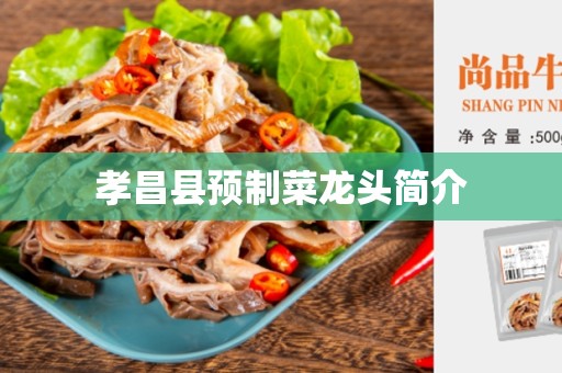 孝昌县预制菜龙头简介