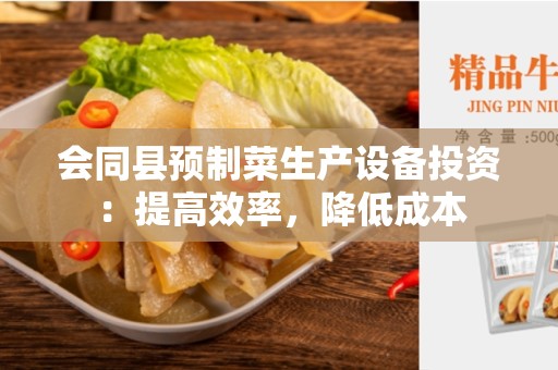 会同县预制菜生产设备投资：提高效率，降低成本