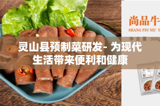 灵山县预制菜研发- 为现代生活带来便利和健康