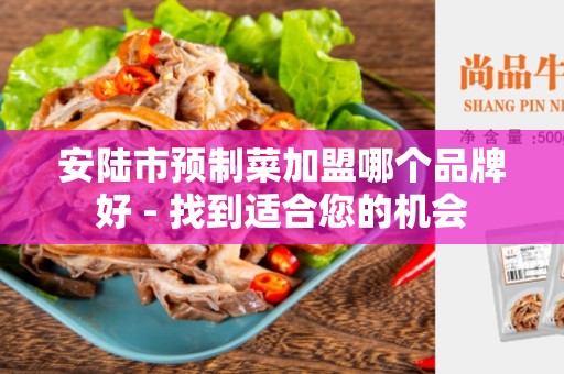 安陆市预制菜加盟哪个品牌好 - 找到适合您的机会