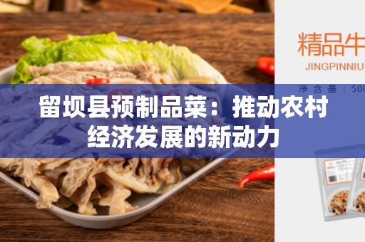 留坝县预制品菜：推动农村经济发展的新动力