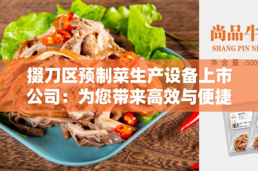 掇刀区预制菜生产设备上市公司：为您带来高效与便捷