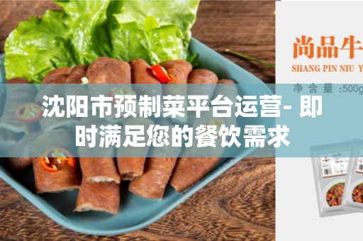 沈阳市预制菜平台运营- 即时满足您的餐饮需求