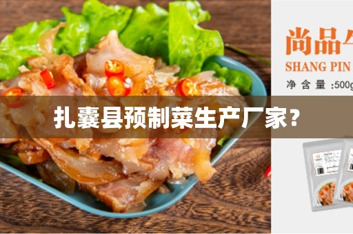 扎囊县预制菜生产厂家？