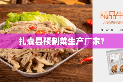 扎囊县预制菜生产厂家？