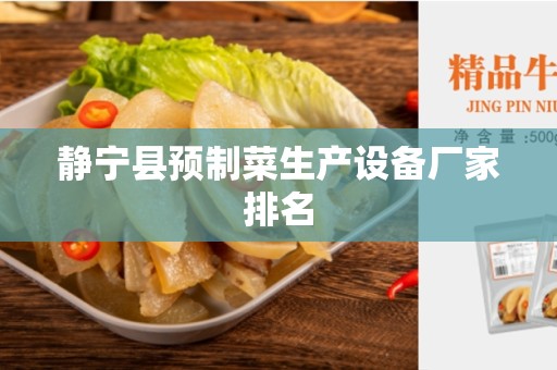 静宁县预制菜生产设备厂家排名