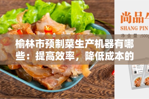 榆林市预制菜生产机器有哪些：提高效率，降低成本的先进设备