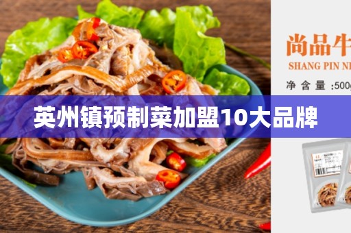英州镇预制菜加盟10大品牌