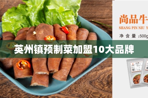 英州镇预制菜加盟10大品牌
