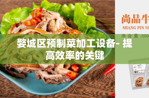 婺城区预制菜加工设备- 提高效率的关键