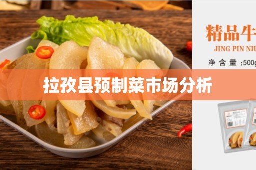 拉孜县预制菜市场分析