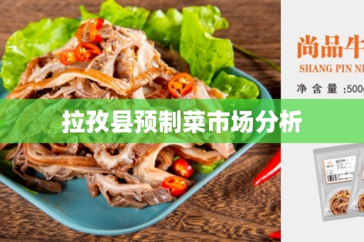 拉孜县预制菜市场分析