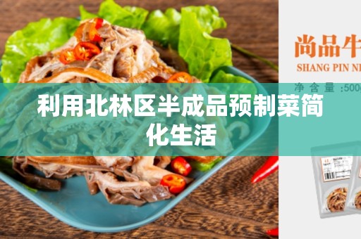 利用北林区半成品预制菜简化生活