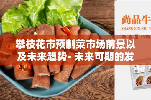 攀枝花市预制菜市场前景以及未来趋势- 未来可期的发展机遇