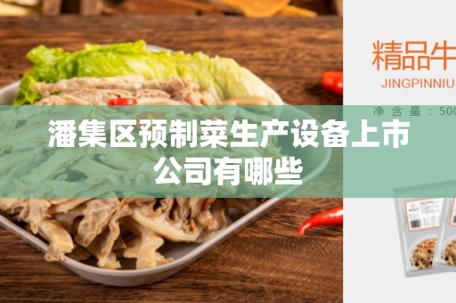 潘集区预制菜生产设备上市公司有哪些