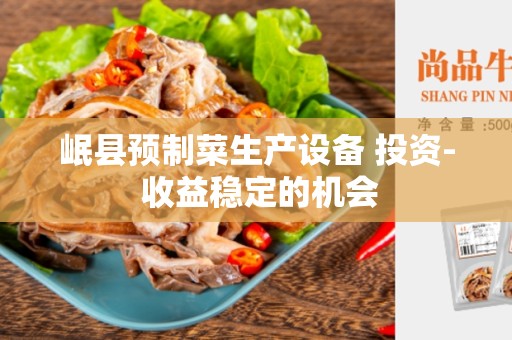 岷县预制菜生产设备 投资- 收益稳定的机会