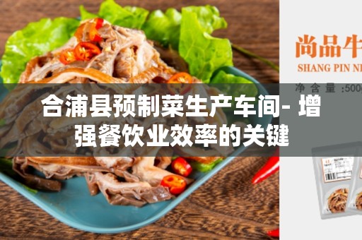 合浦县预制菜生产车间- 增强餐饮业效率的关键