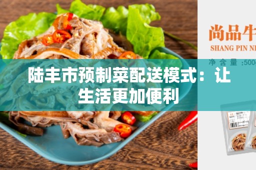 陆丰市预制菜配送模式：让生活更加便利