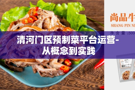 清河门区预制菜平台运营- 从概念到实践