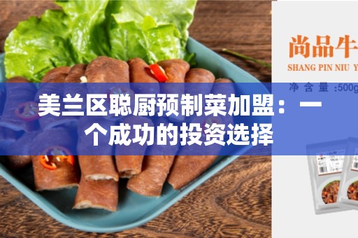 美兰区聪厨预制菜加盟：一个成功的投资选择