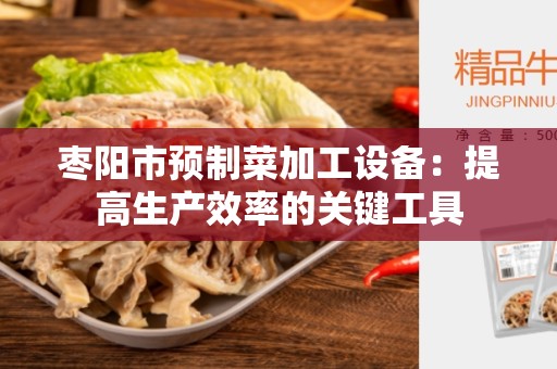 枣阳市预制菜加工设备：提高生产效率的关键工具
