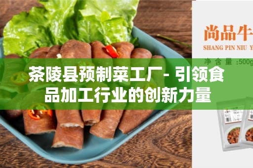 茶陵县预制菜工厂- 引领食品加工行业的创新力量