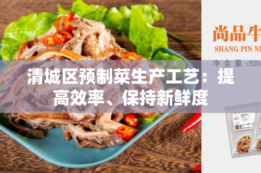 清城区预制菜生产工艺：提高效率、保持新鲜度