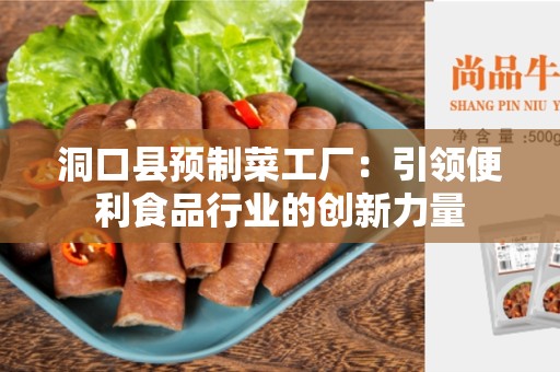 洞口县预制菜工厂：引领便利食品行业的创新力量